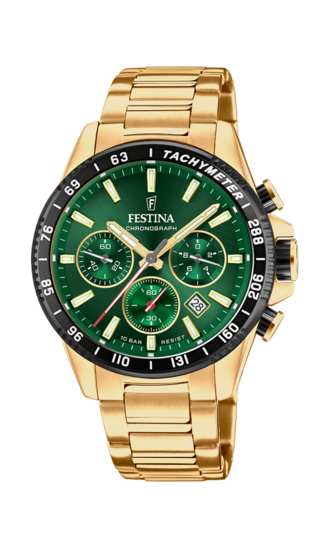 Festina Watch Festina